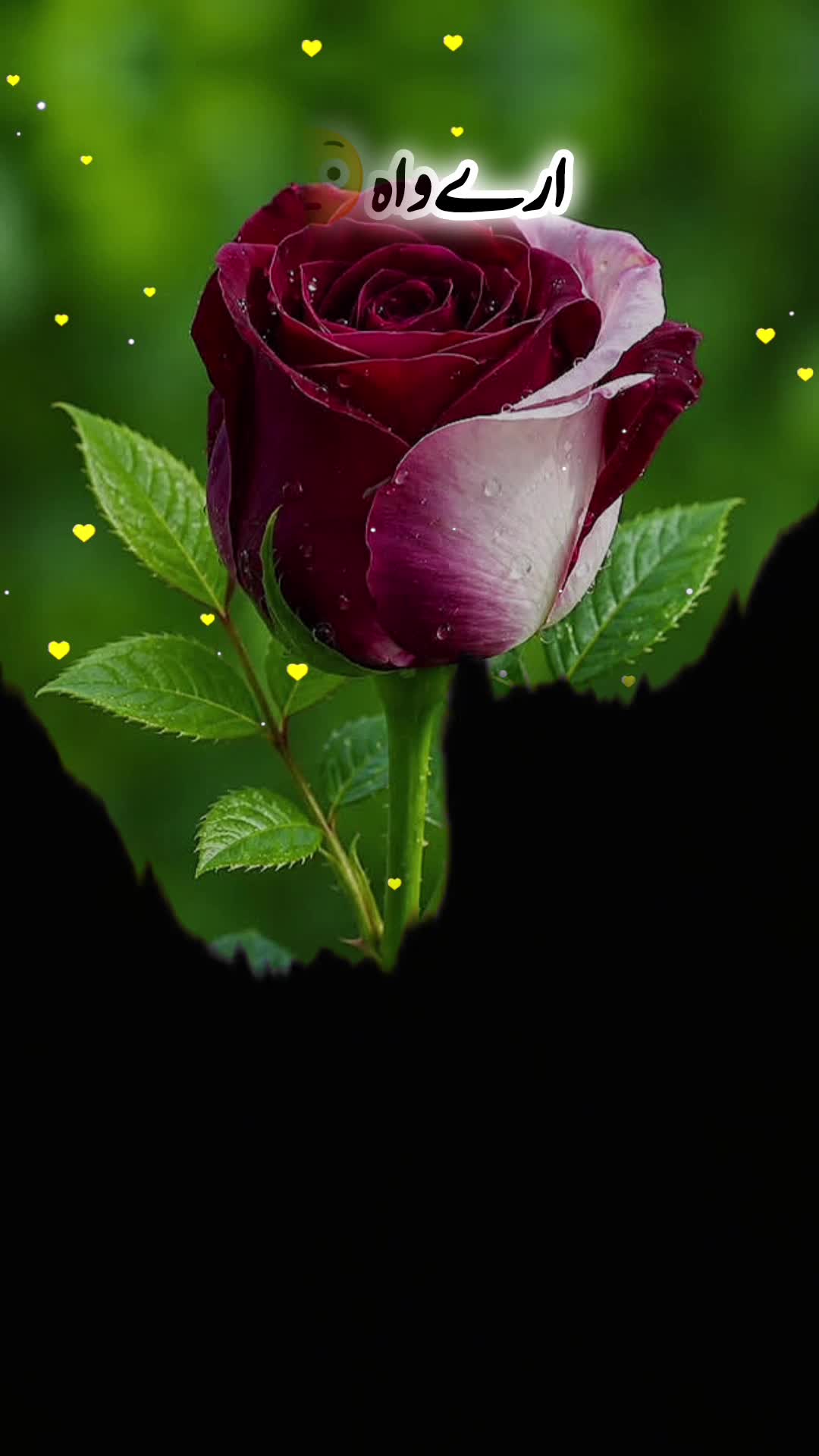 @urdustatu