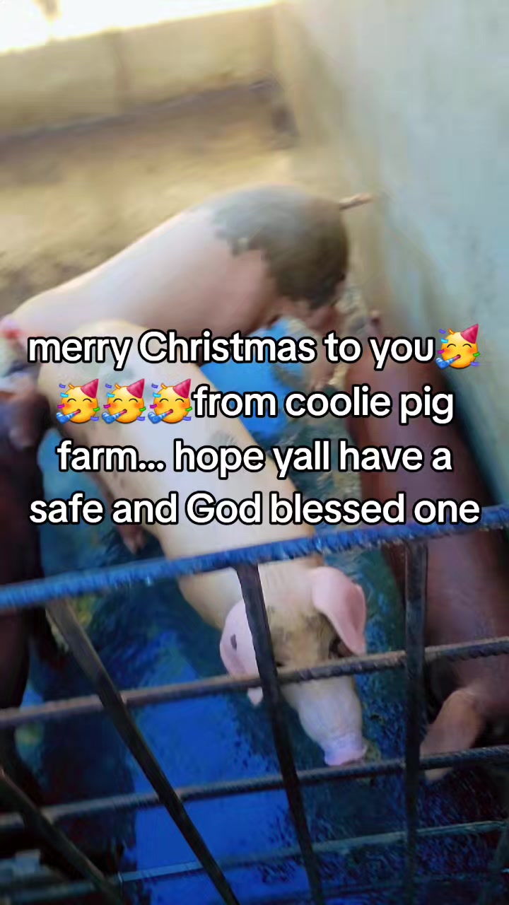 @coolie