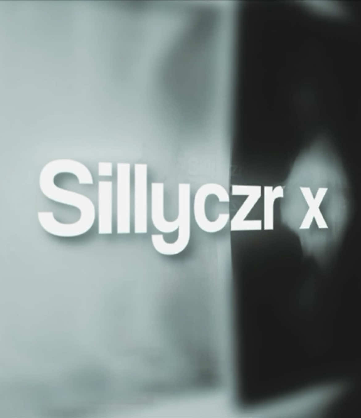 @sillyczrrr_