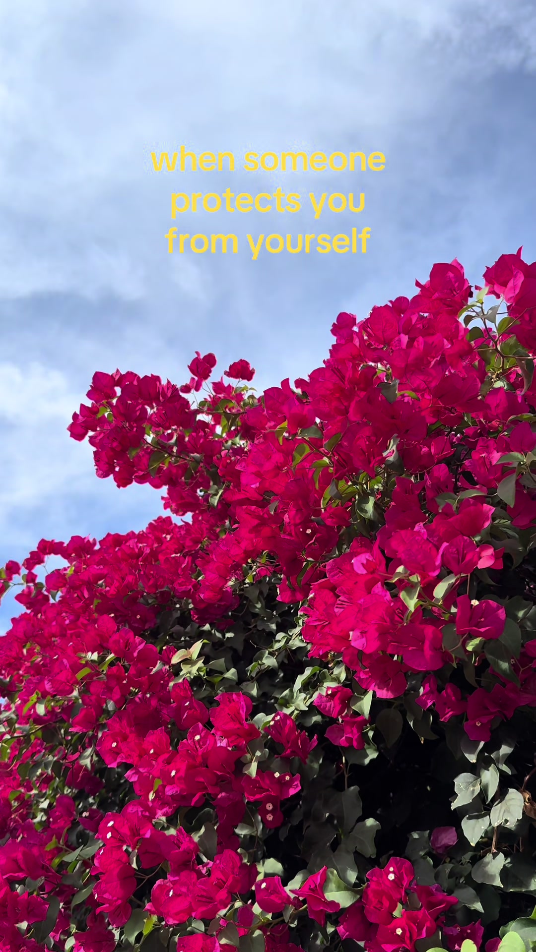 @K. Bromberg - Author