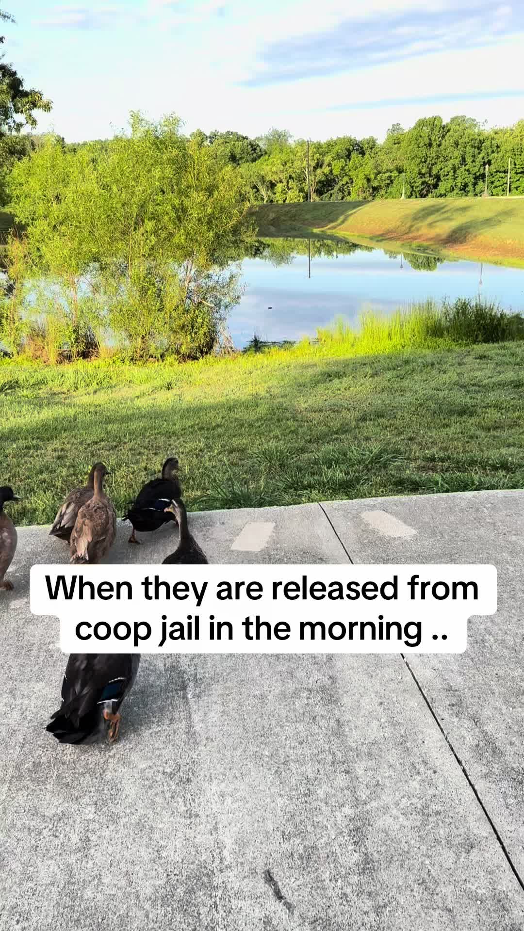 @AddictChick