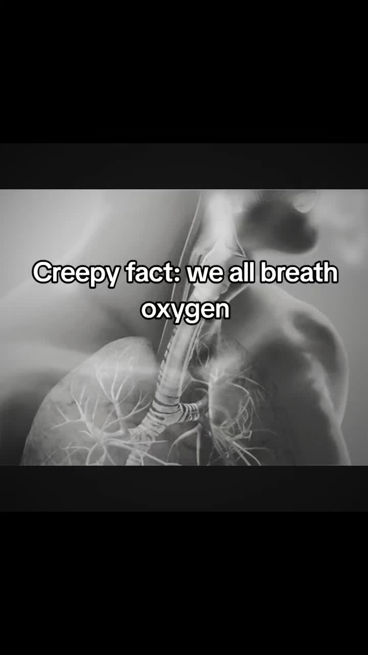 @kraylors
