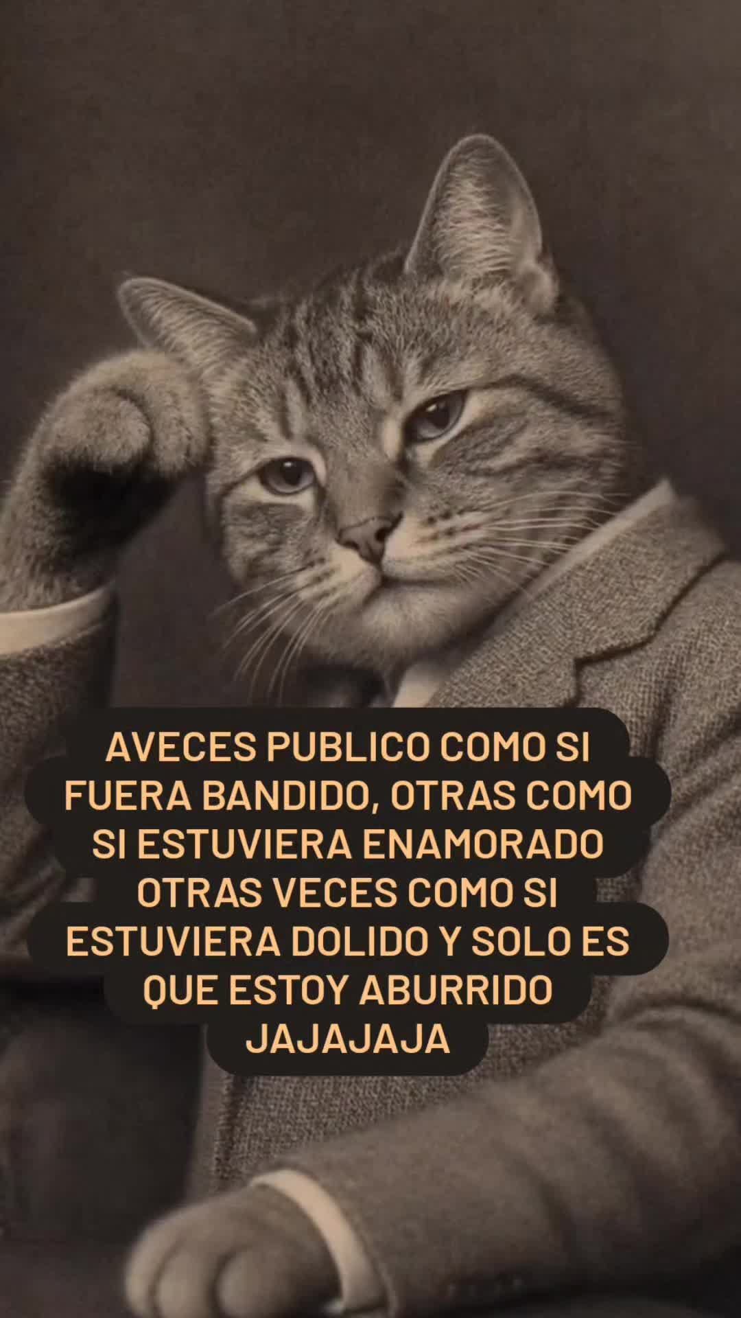 @el panda solitario