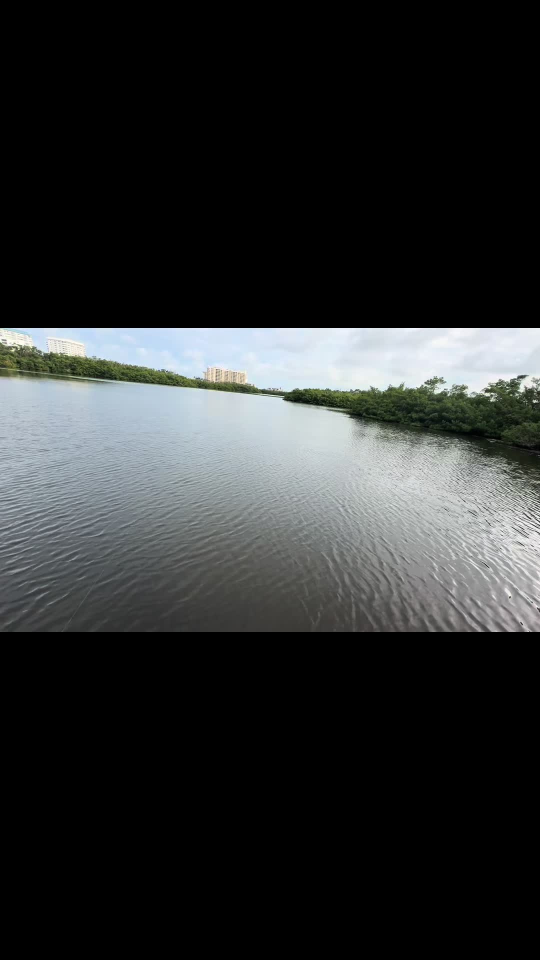 @Gotitfishing