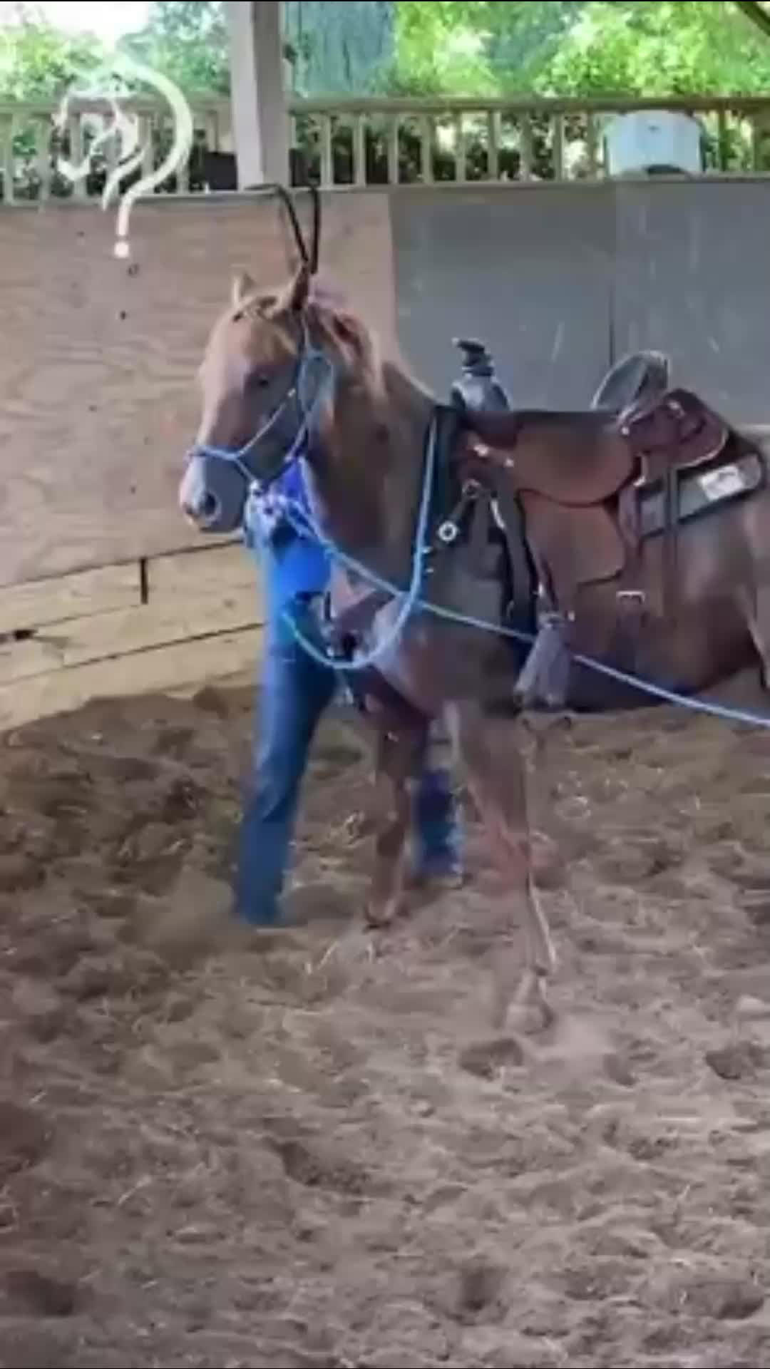 @Horse Help