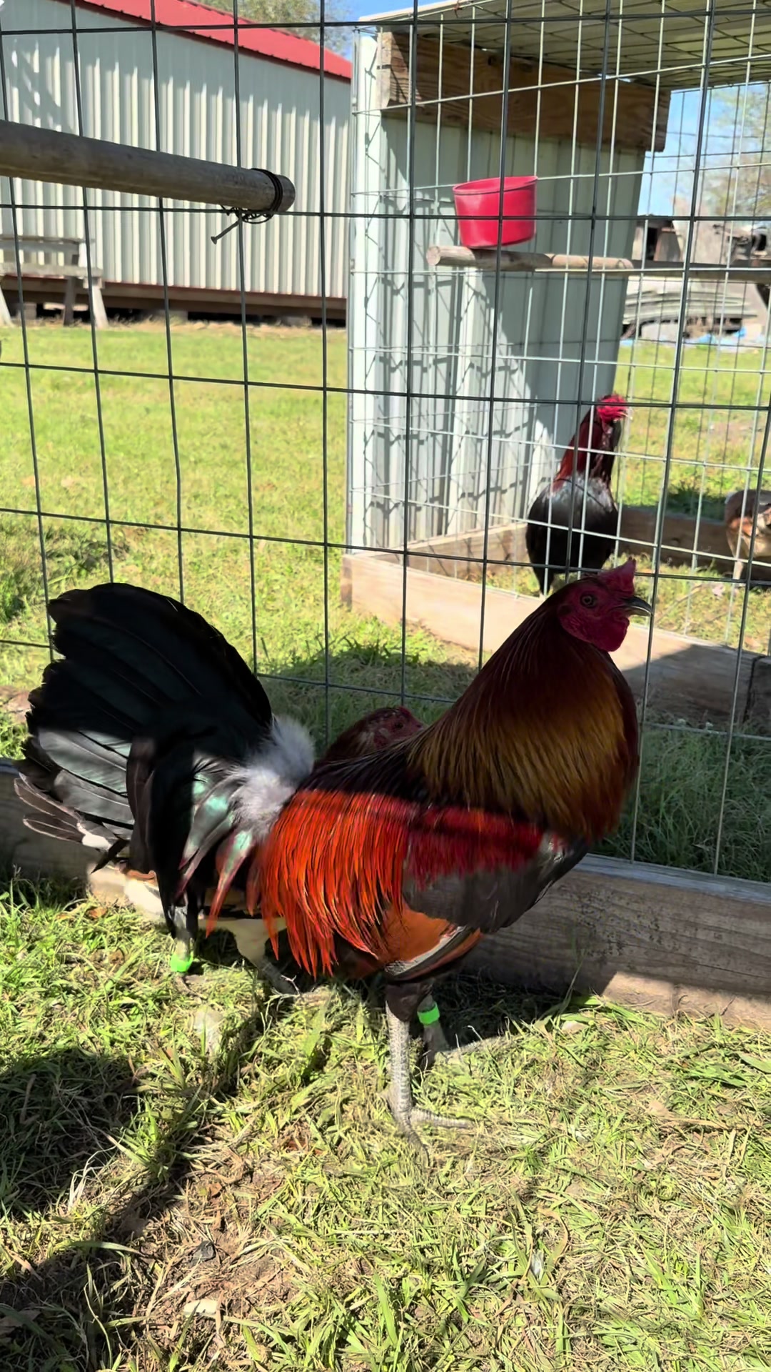 @Bryan Gamefarm