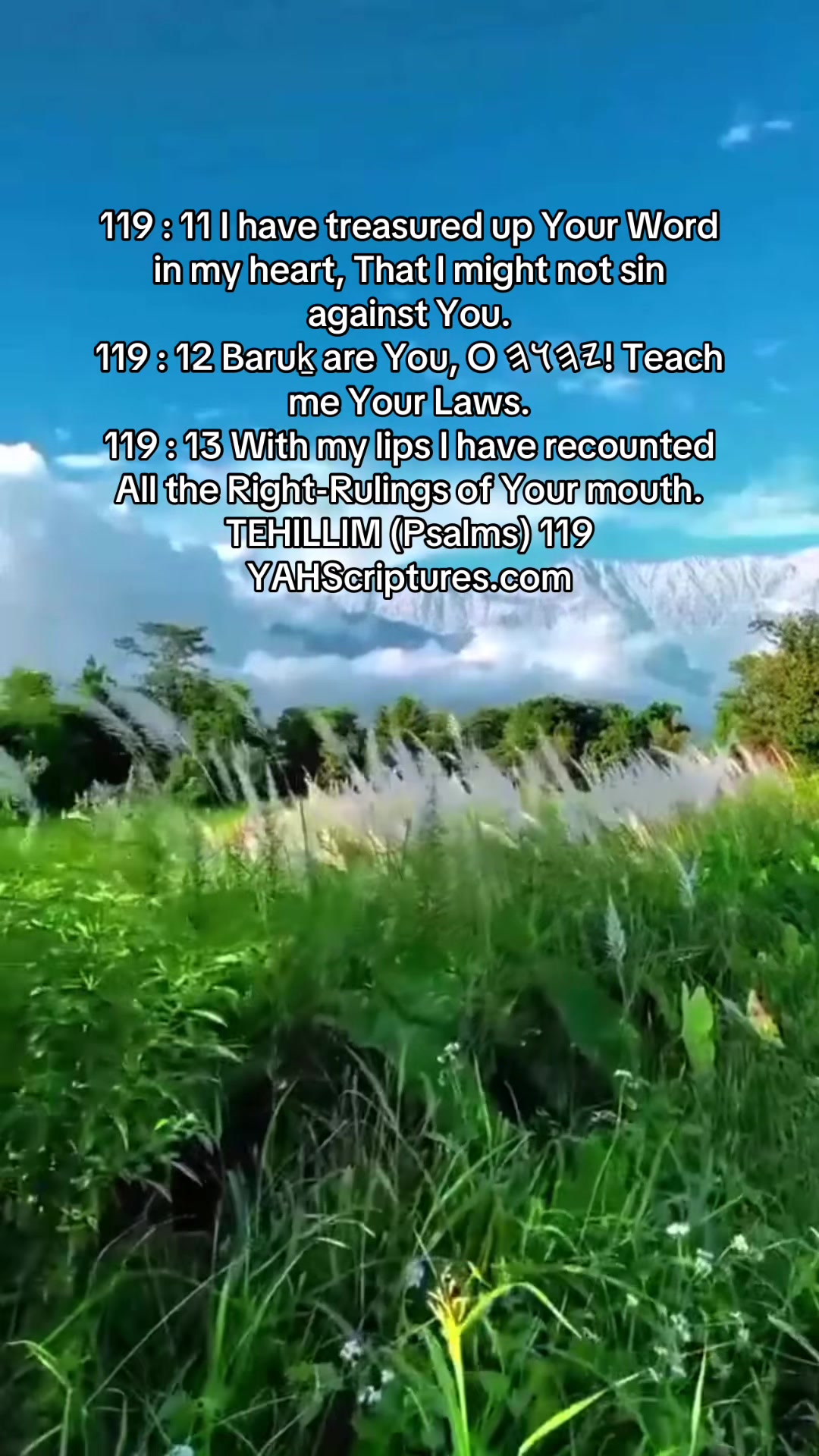 @💕Ruach HaKodesh filled💕