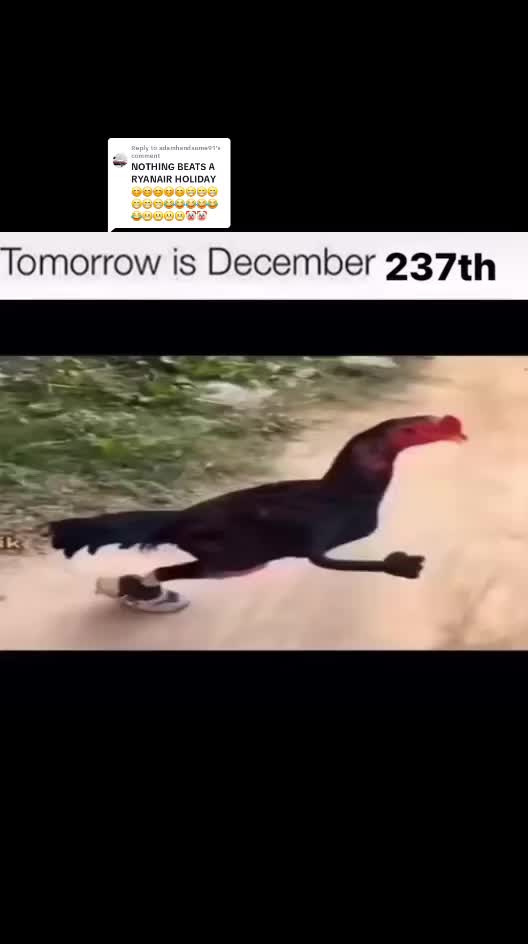 @crusherk0re