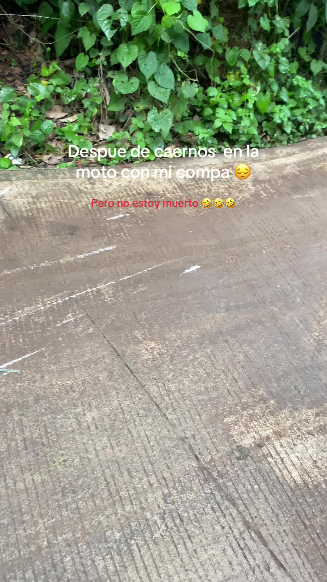@ꛕͲ_EPY 
