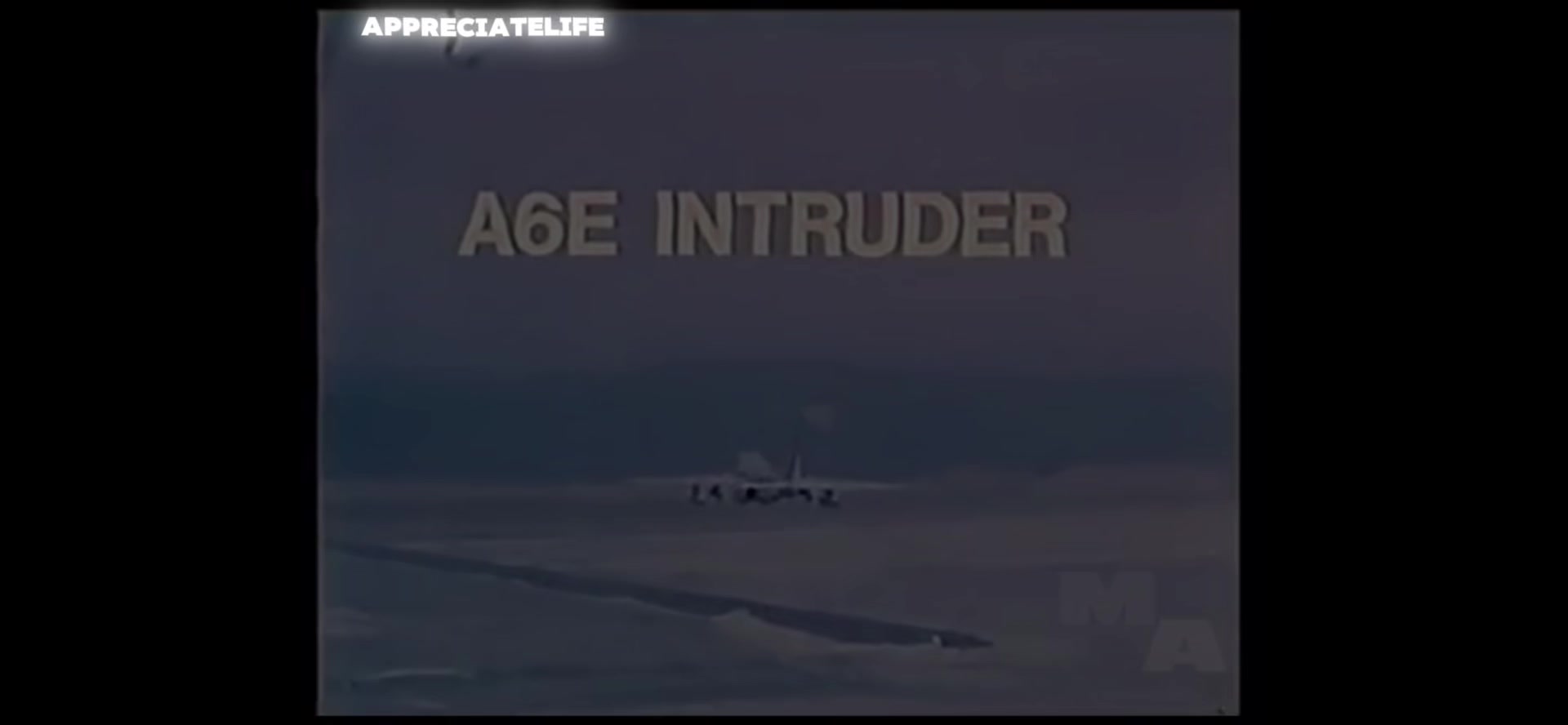 @appreciatelife