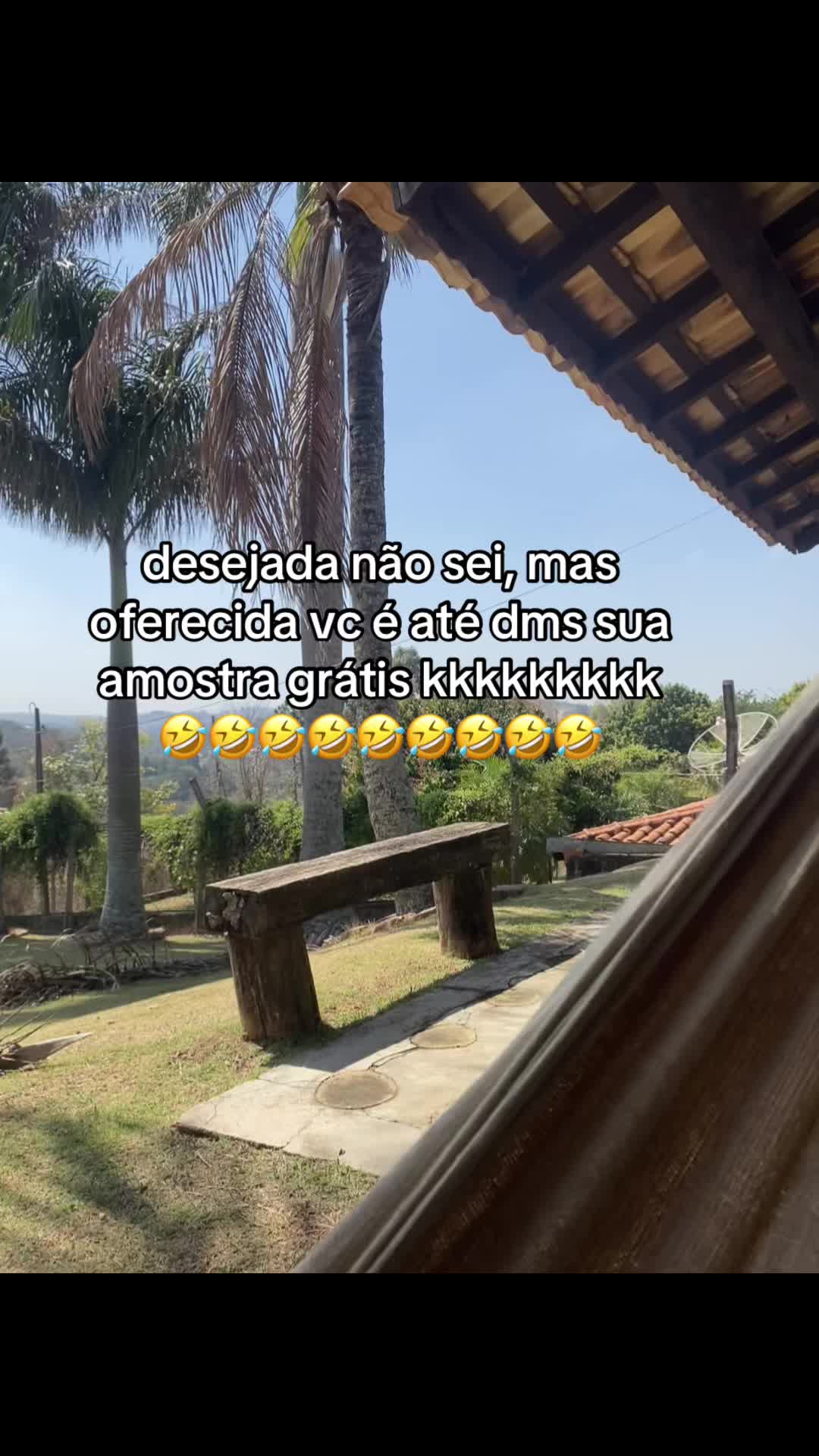 @Alinequirino_