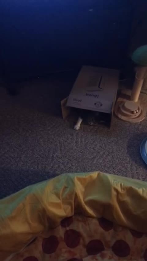 @LifeWithBoyd