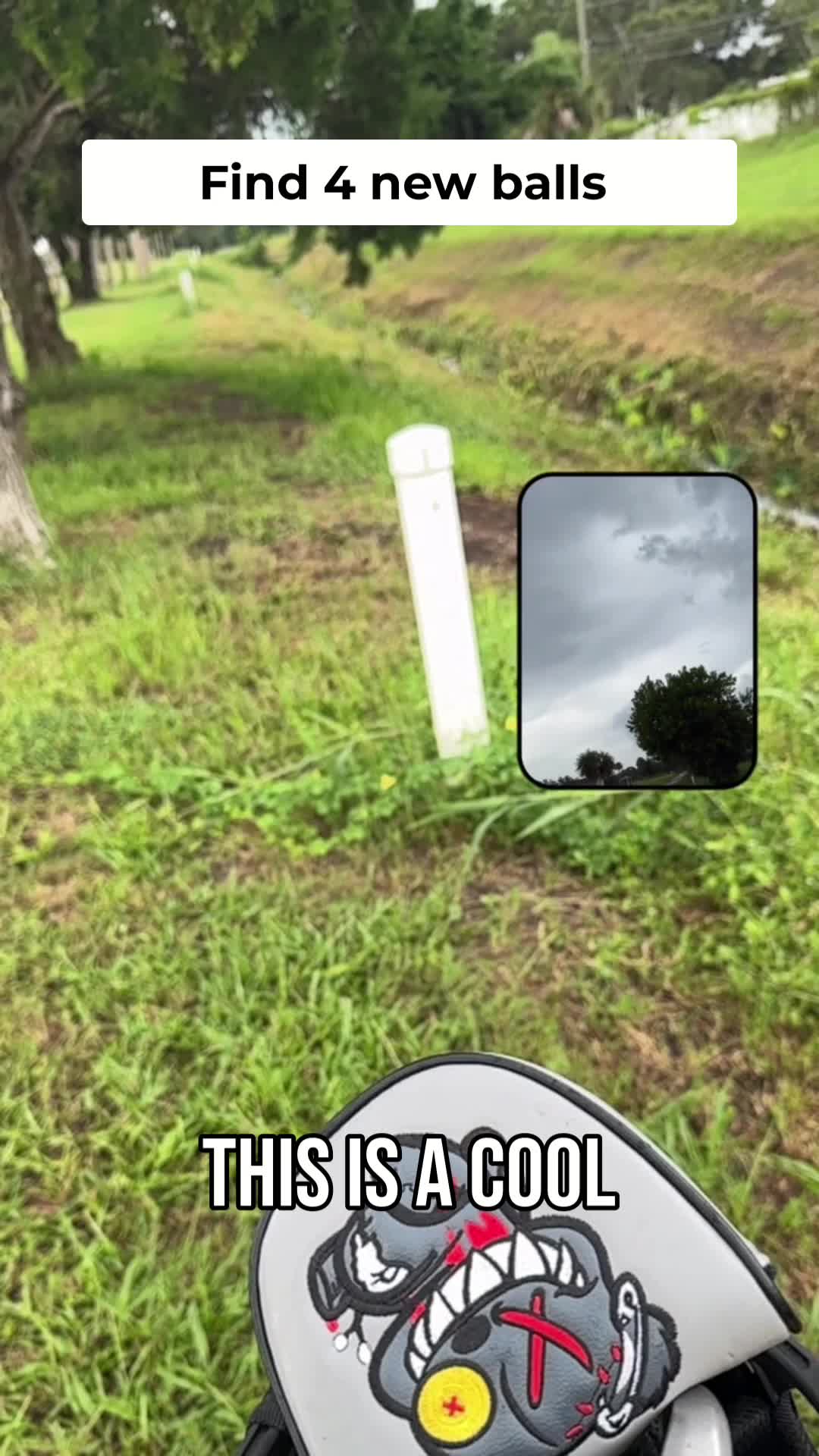 @Next Swing Golf