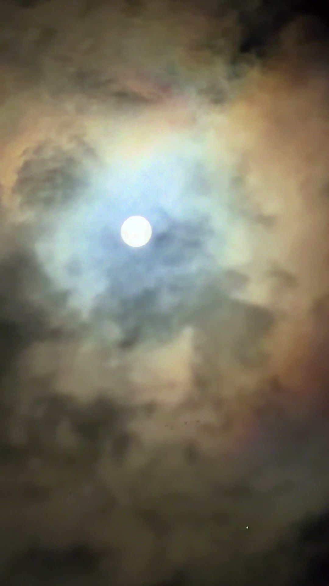 @Ms.Chilli 🌶️