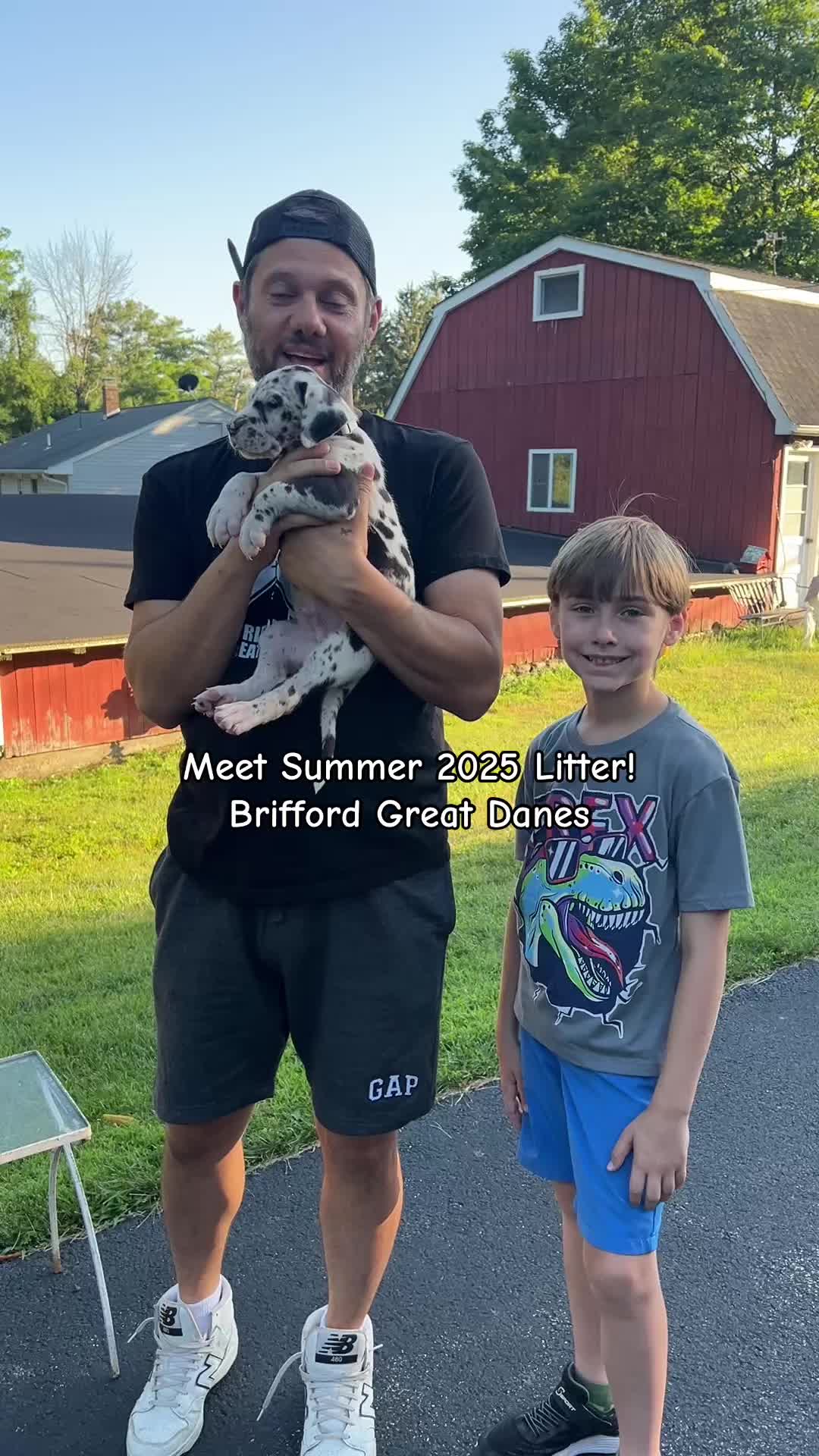 @Brifford Great Danes .com