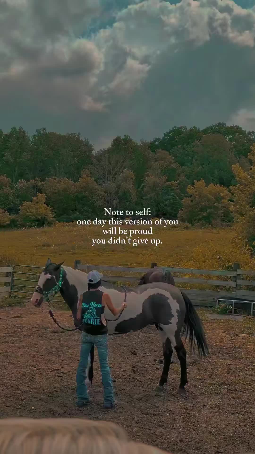 @RogueCowPonies