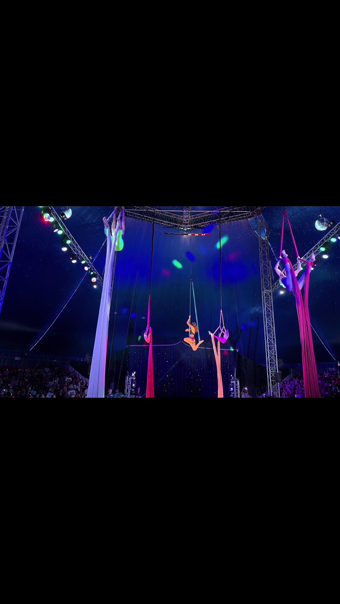 @circus.chloe