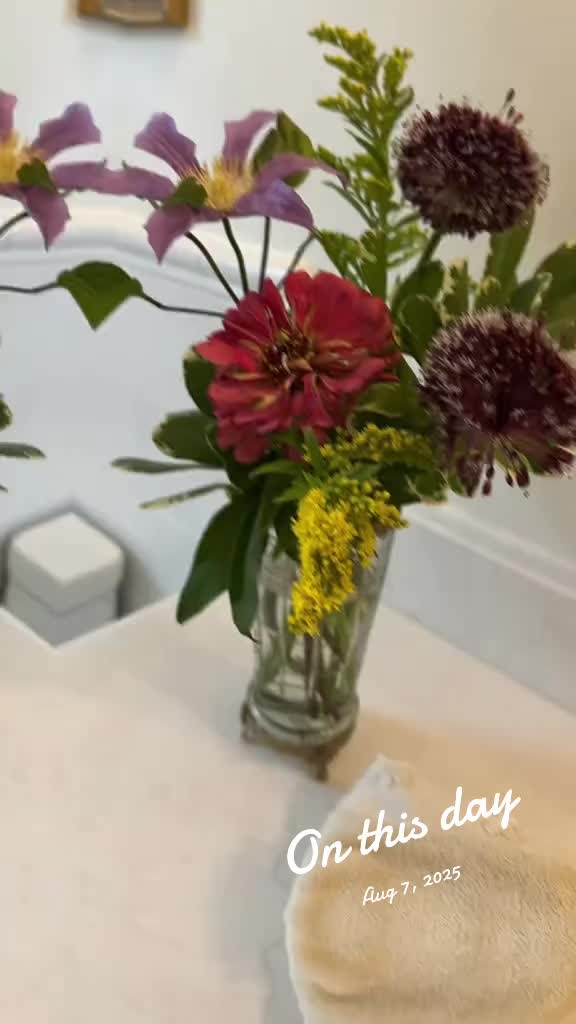 @hellovbirdie