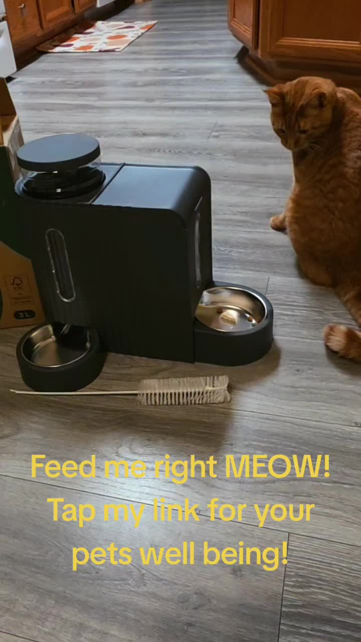@FoxyRoxyLovesYou