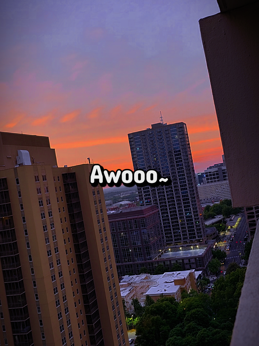 @Dream🪩🐾🔜FurPoc