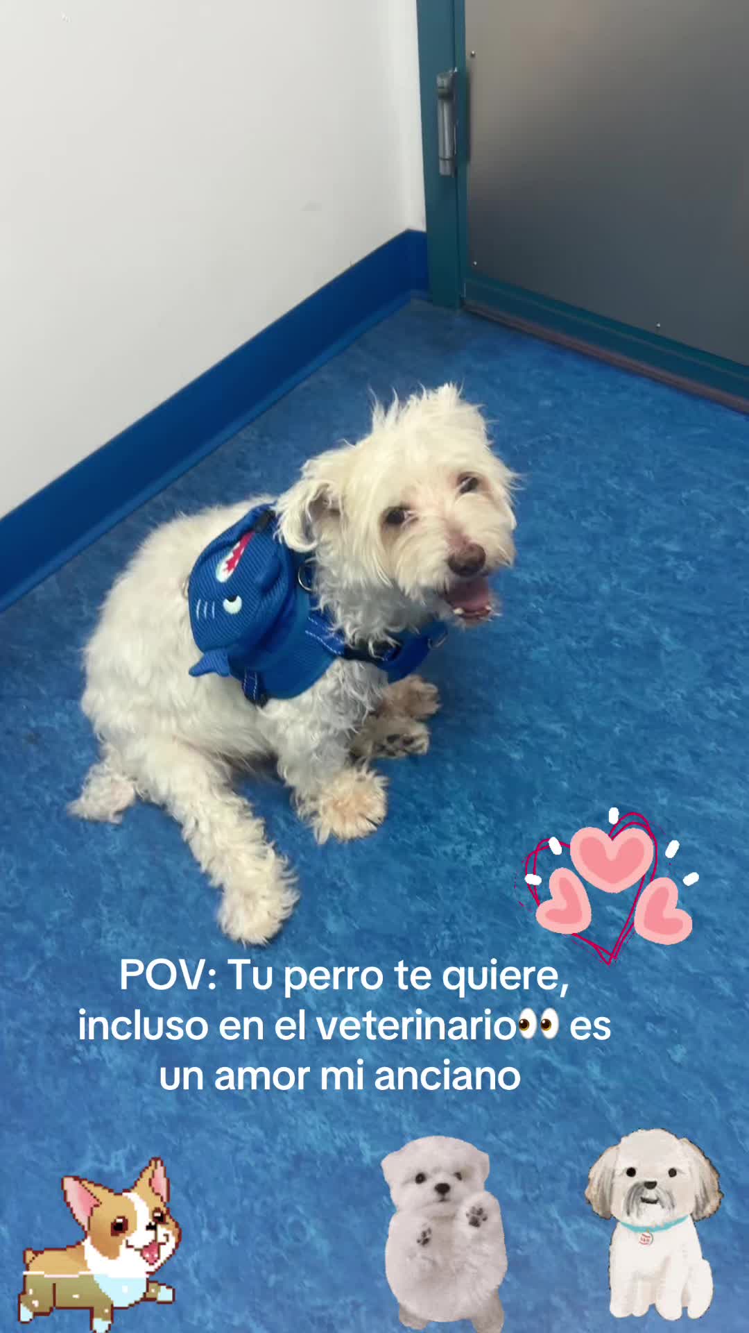 @los3huevertos