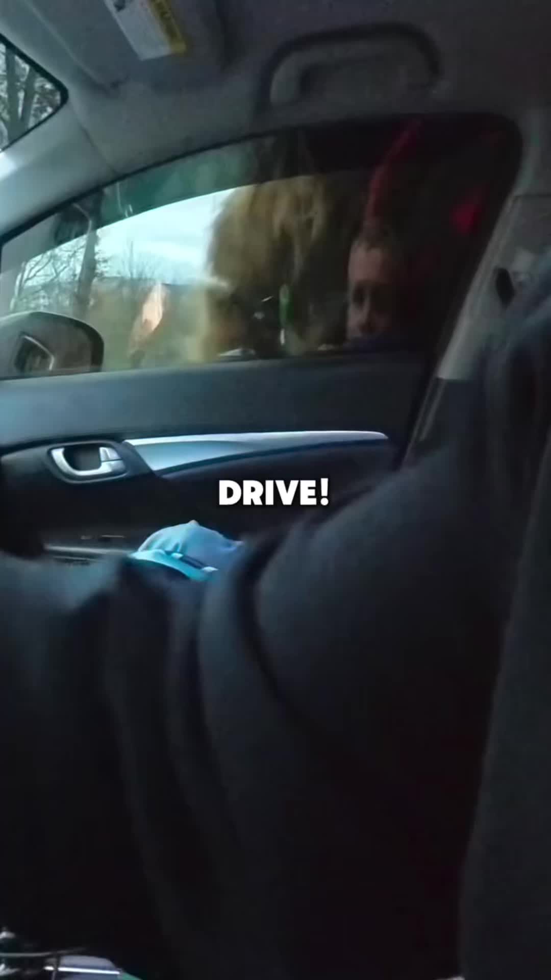 @whentdown