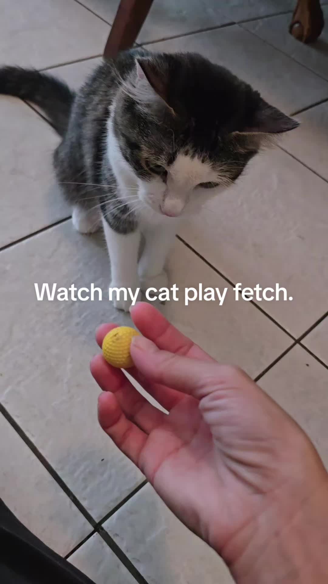 @FingerPrintKay