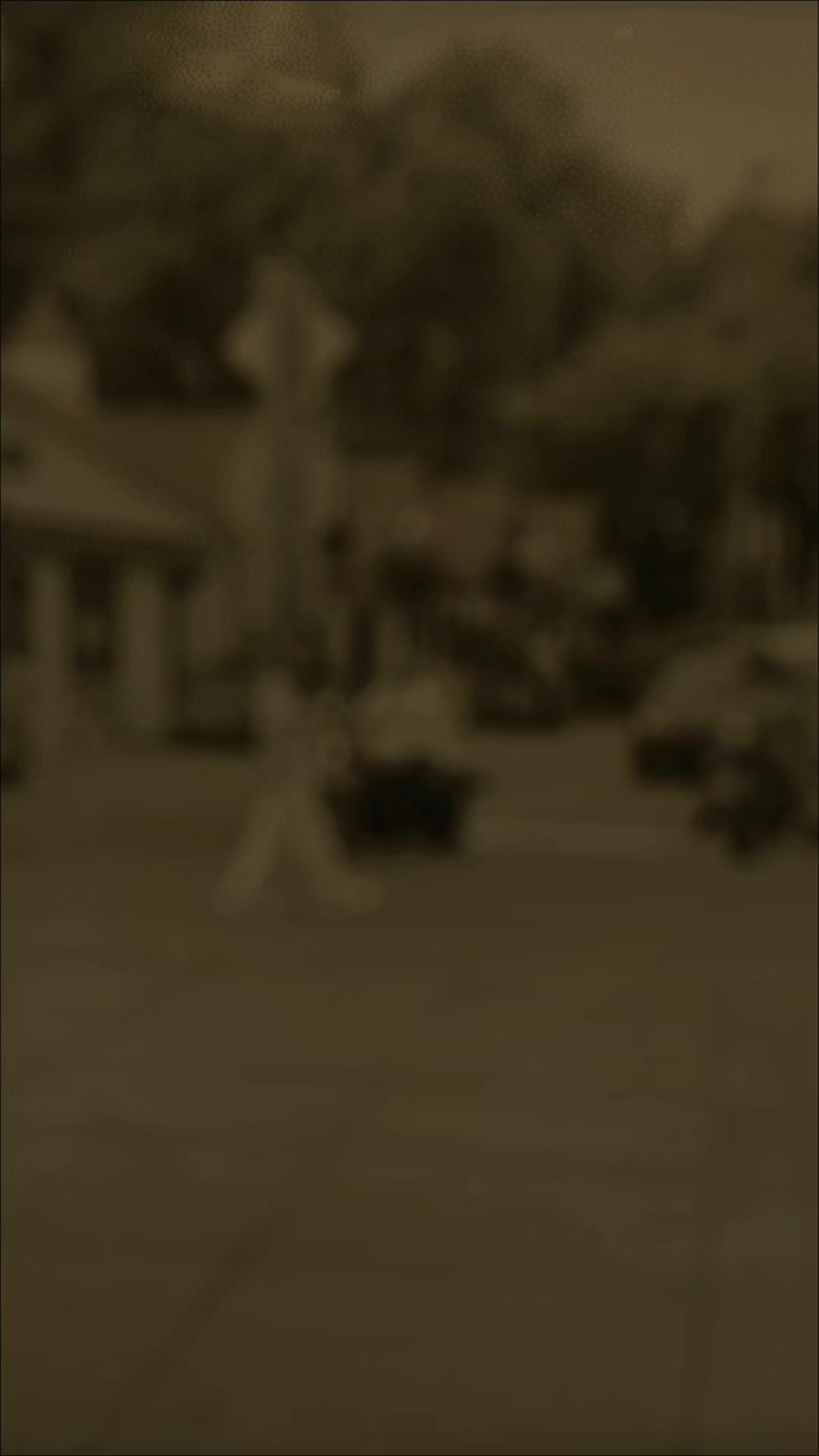 @đĢPUJA đēđ¸