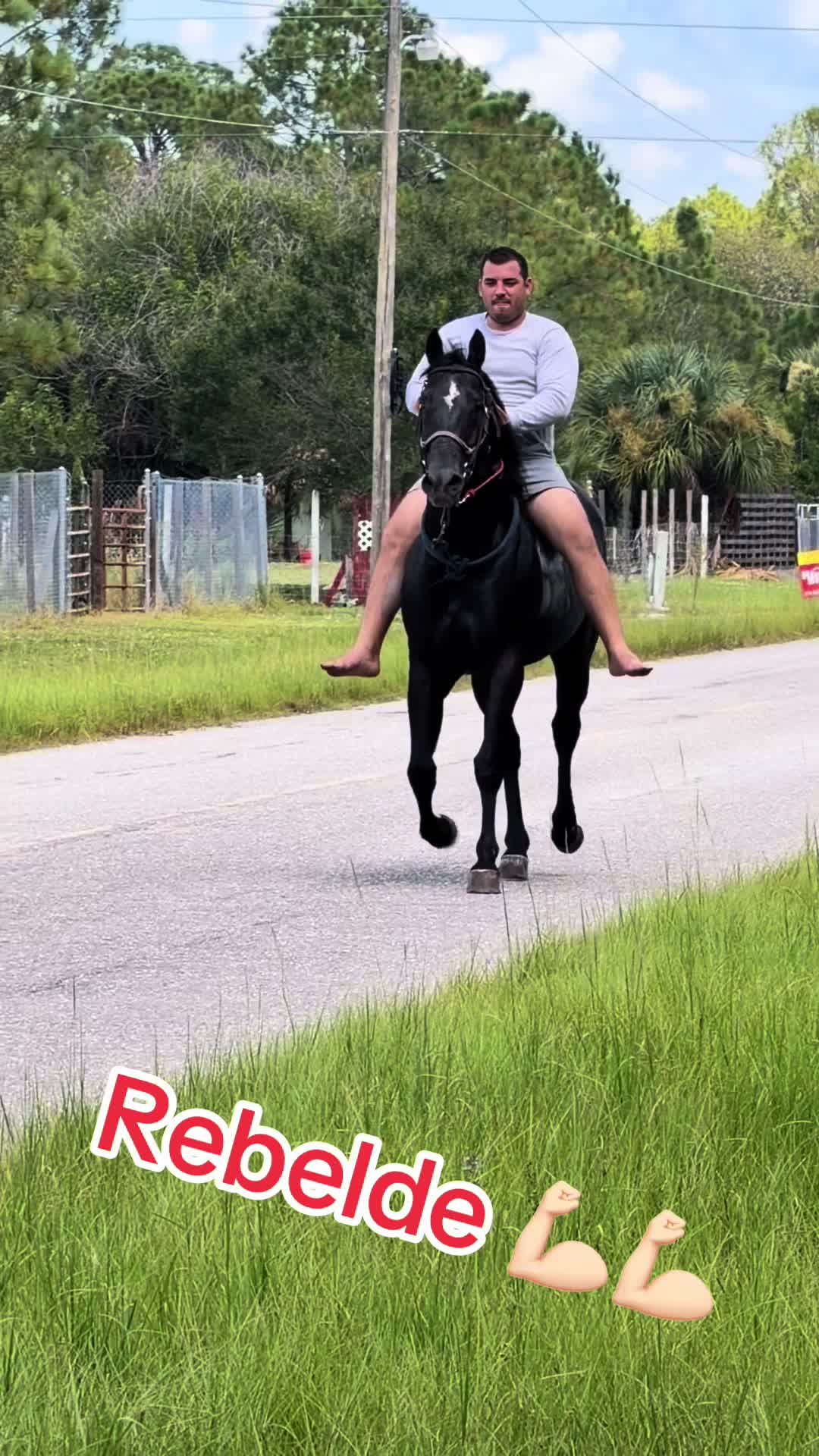 @Danny