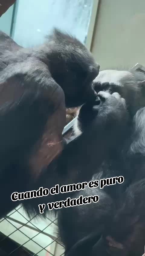@Series Mexicanas y Colombianas