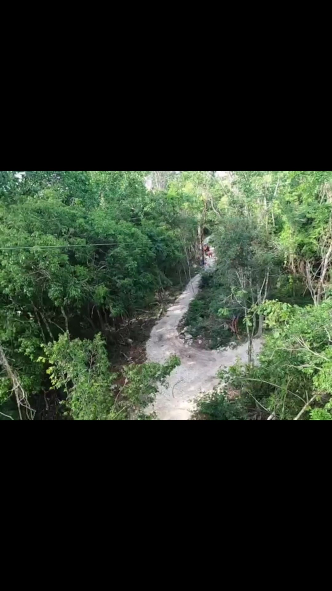 @bo_legs