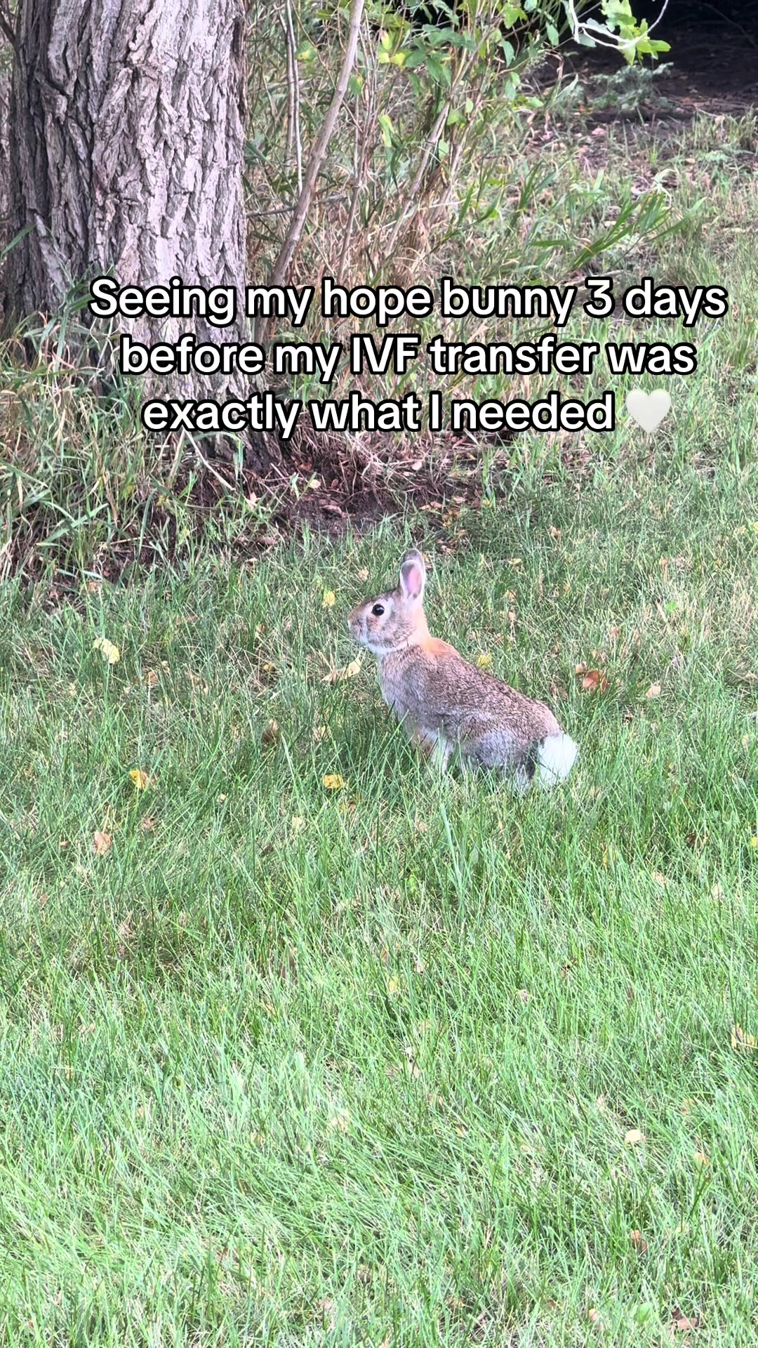 @✨Brittany✨