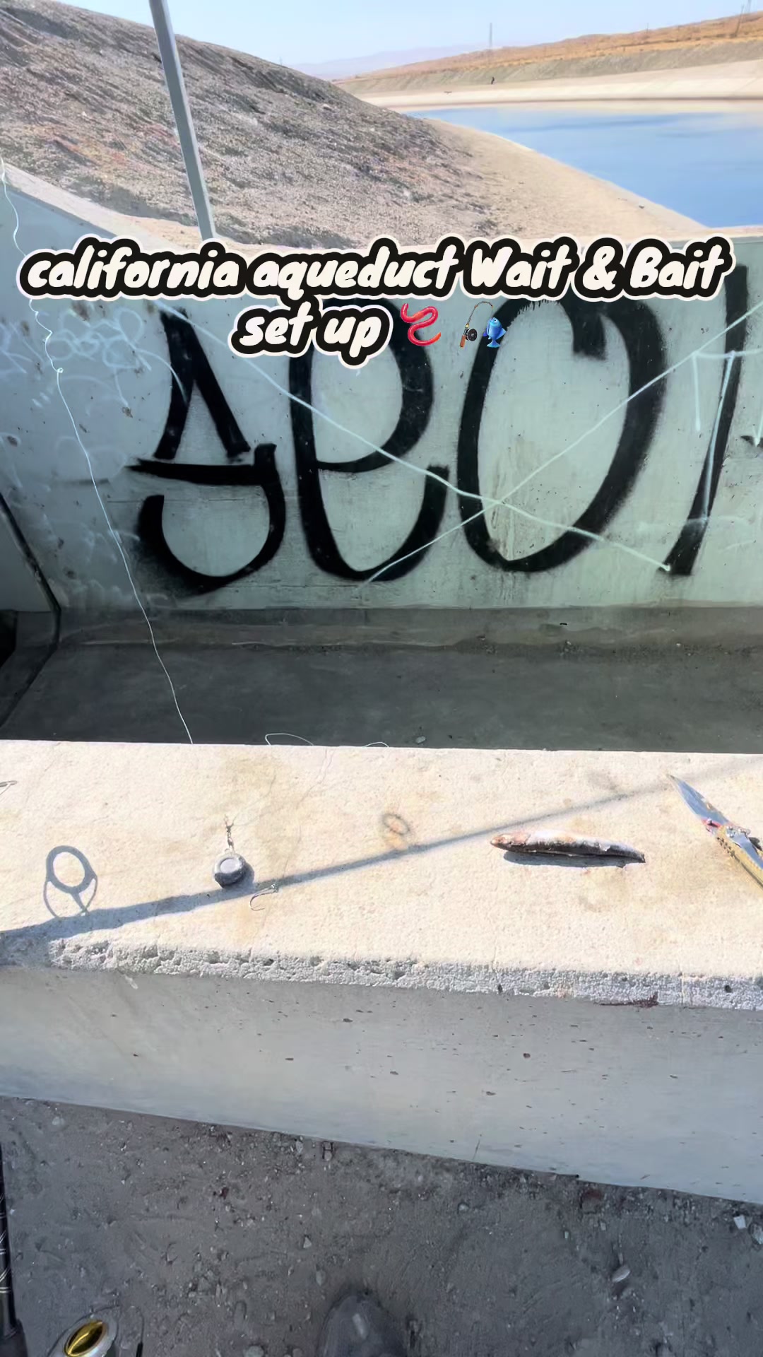 @Cast2Catch_661