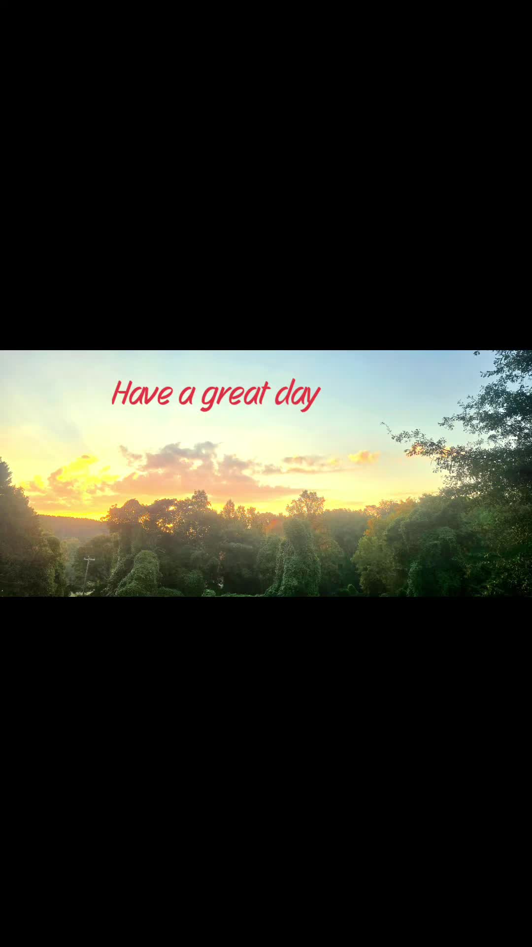 @tylerdyrden1920