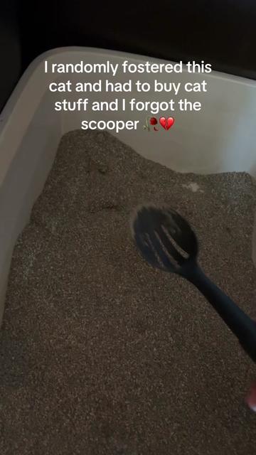 @svddenkvnt