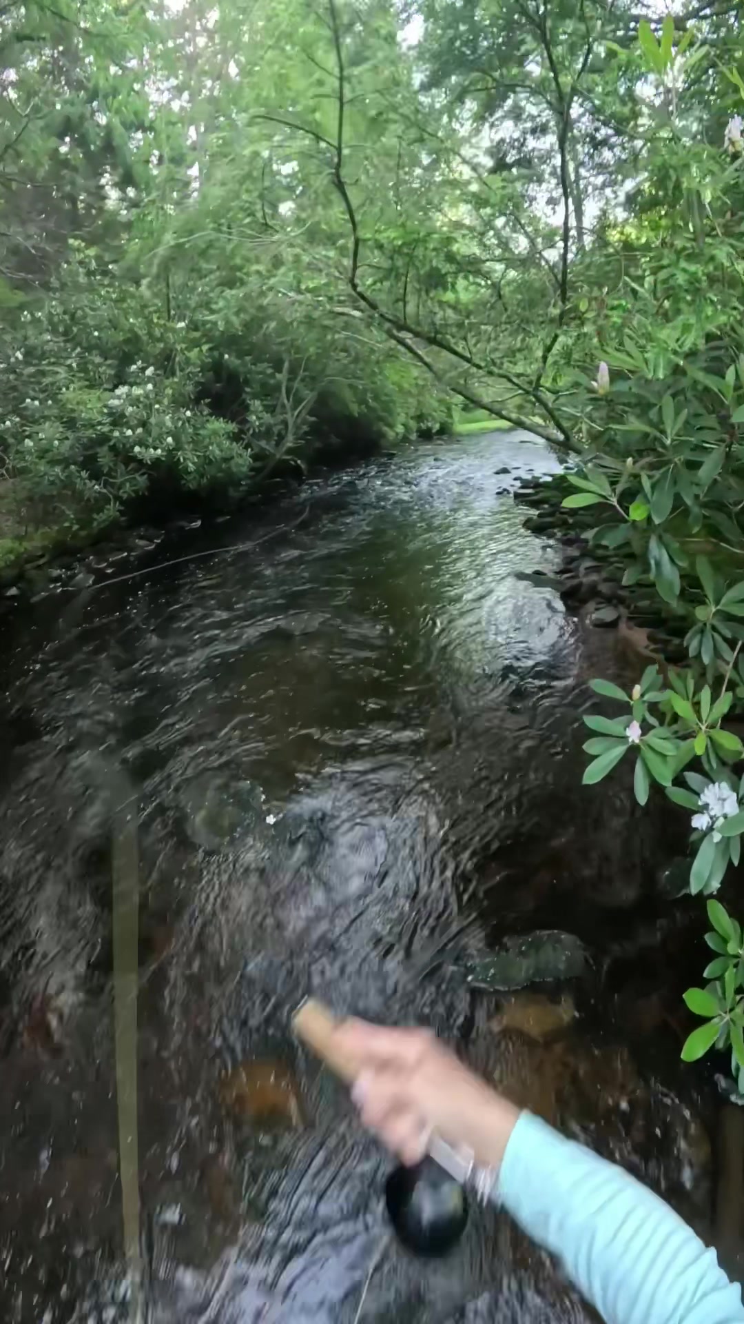 @FlyFishDelawhere