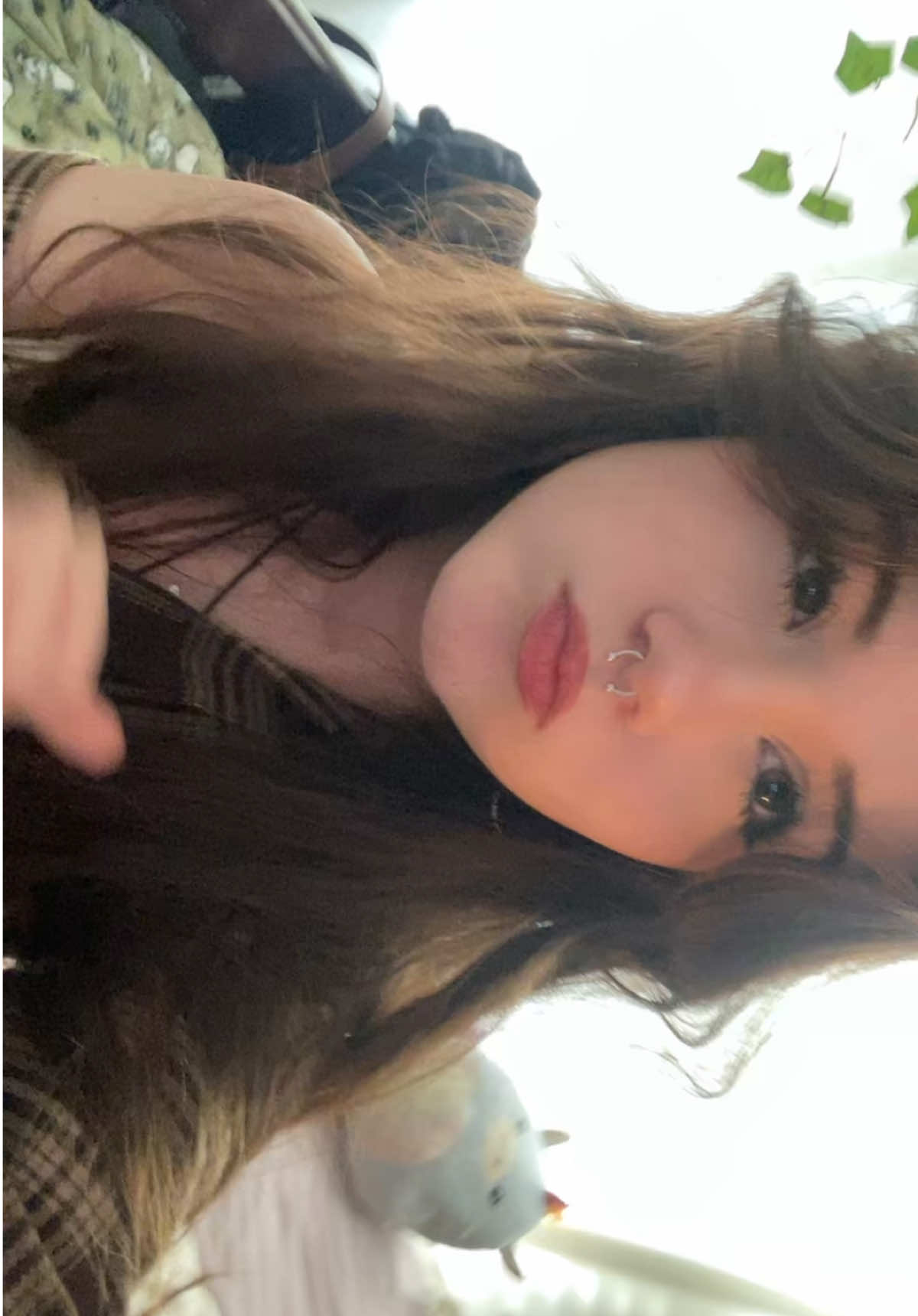 @hannah ⋆ ˚｡⋆౨ৎ˚