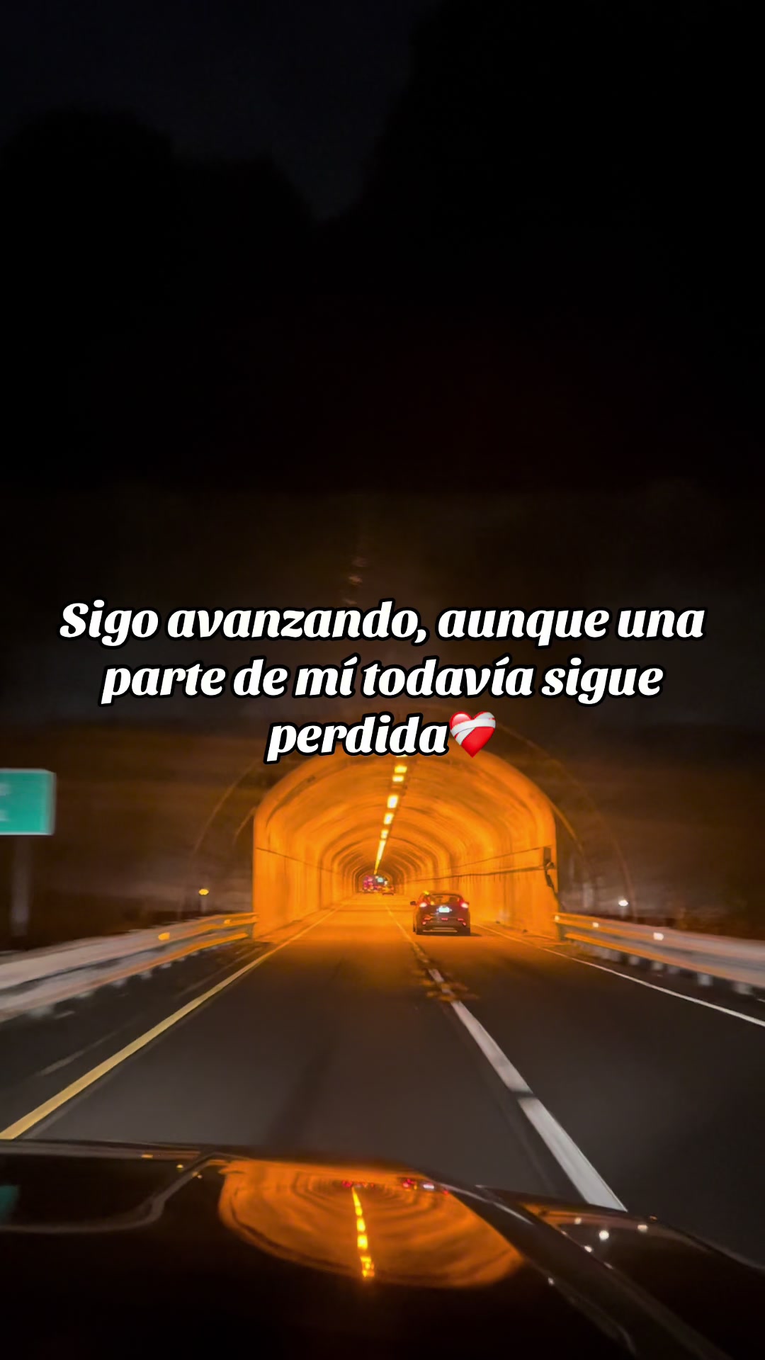 @SHOSTIN7🦁