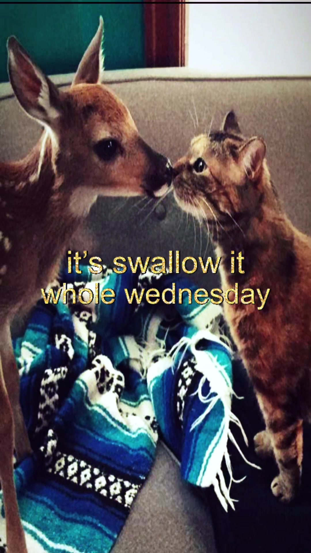 @livinlikedis