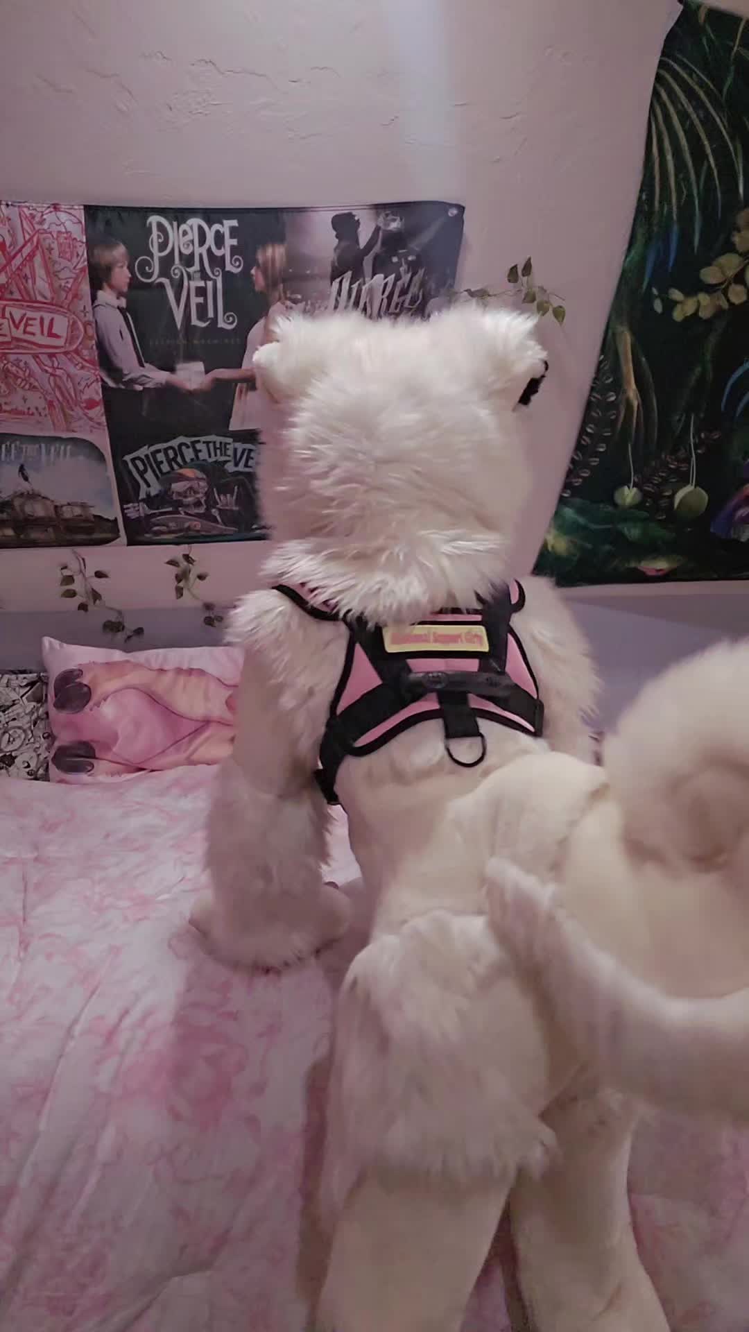 @fidget_batty🦇