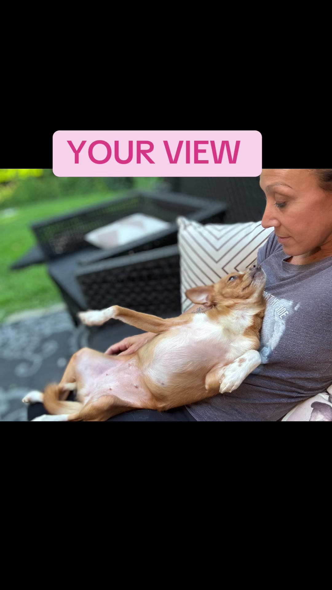 @dogmom76