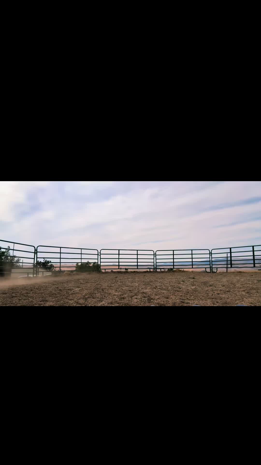 @Cowgirl Tuff Colt Training ❤️