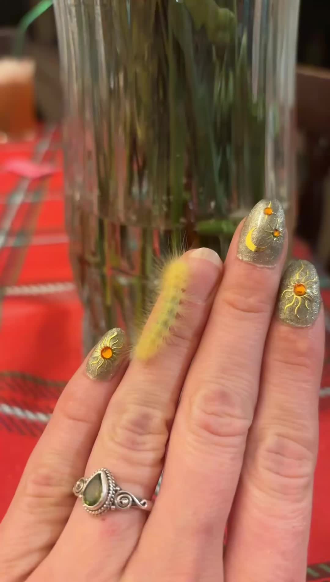 @ElvenFairyGoblinPrincess✨