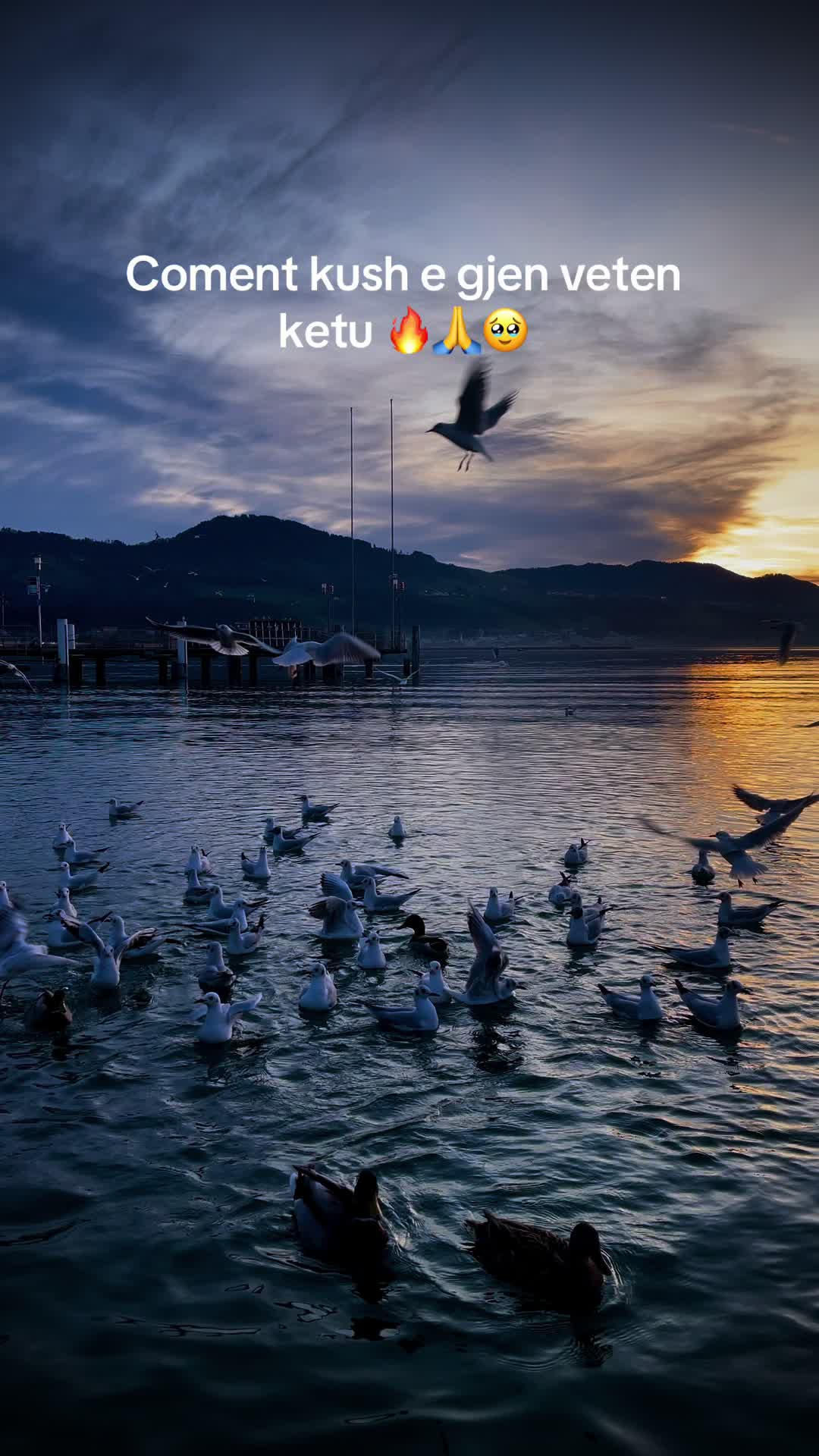 @Vlora e Labërisë