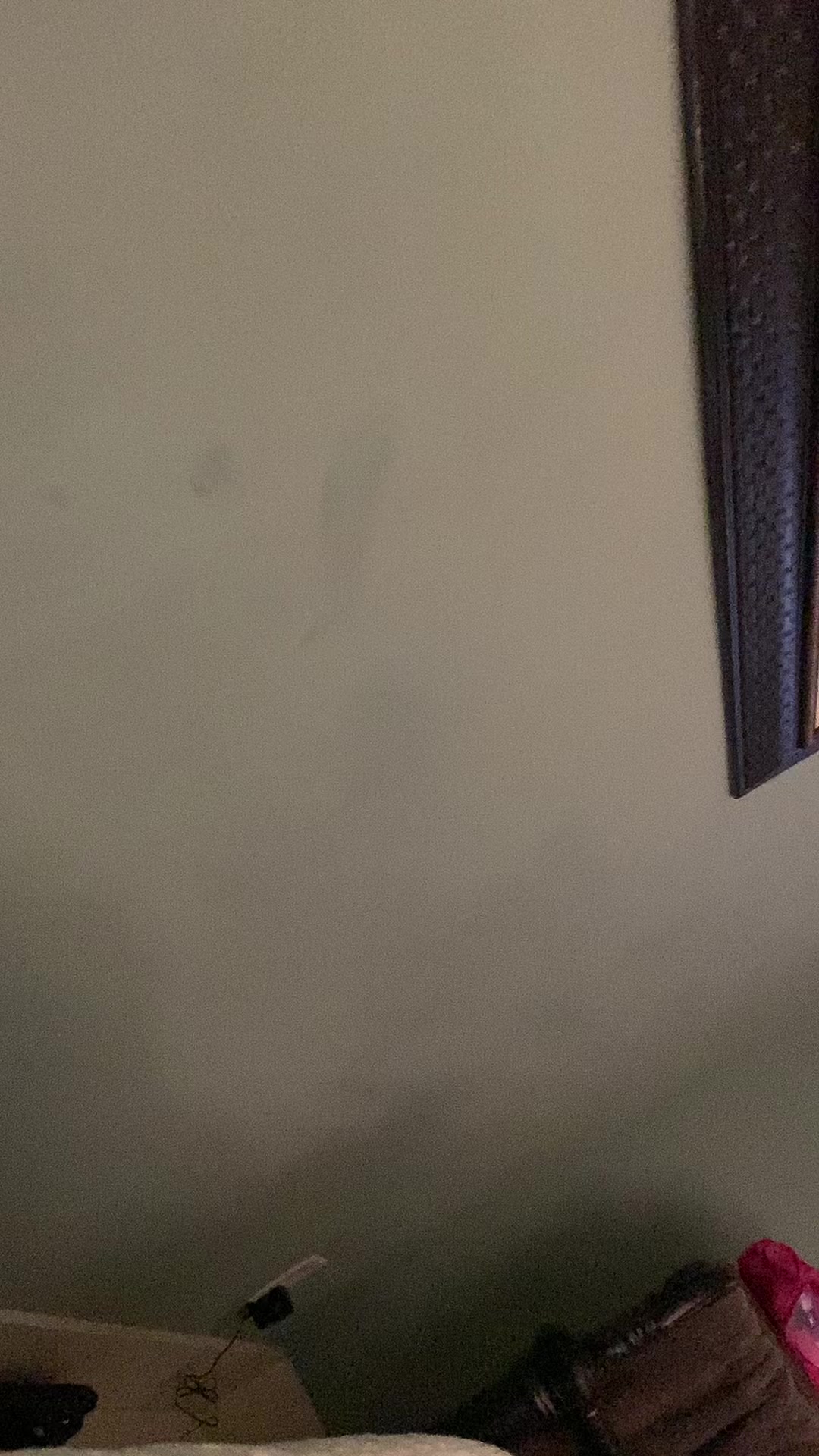 @user16020667987