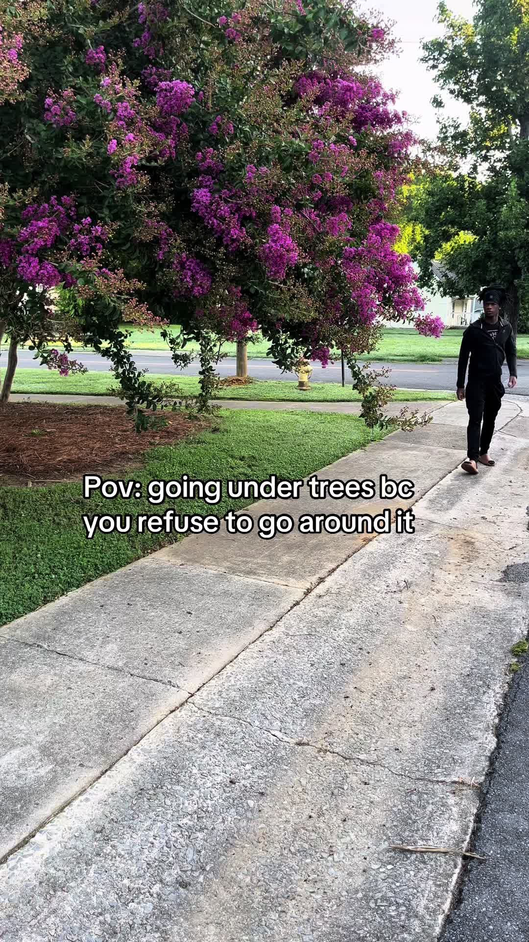 @xzzy