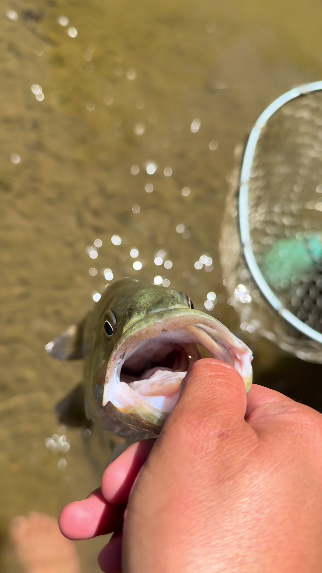 @Fishin_With_B