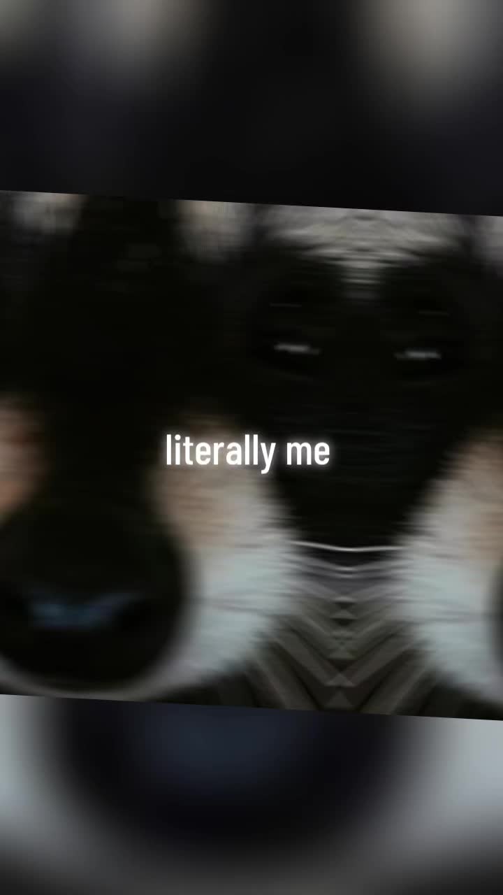 @hailyy