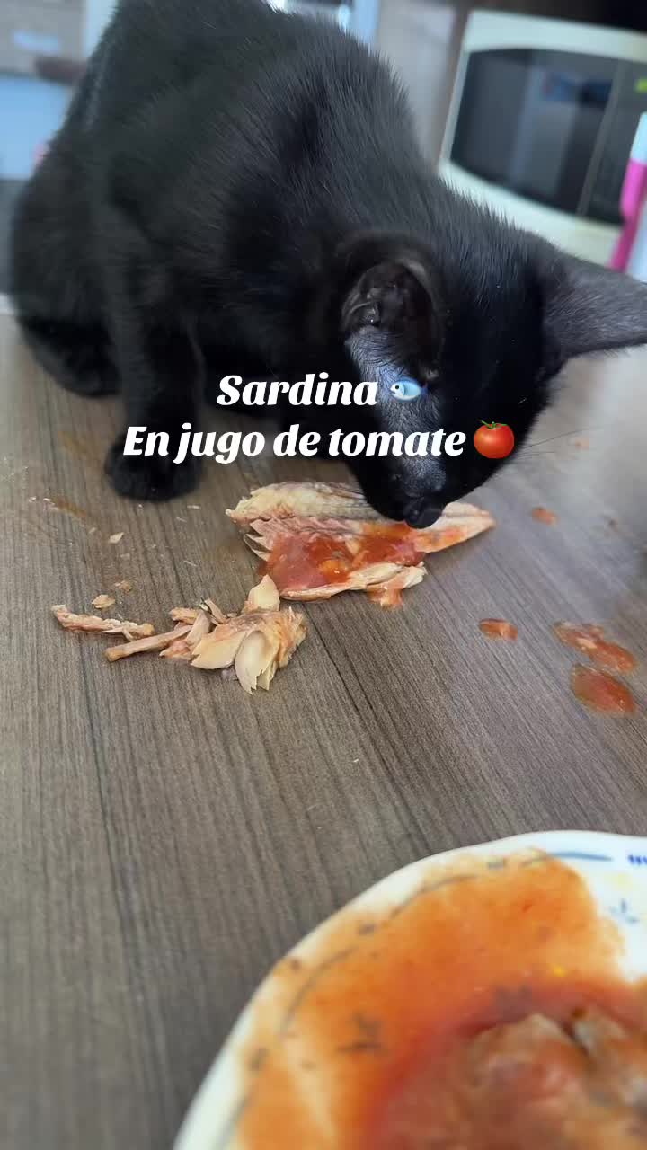 @Zulema