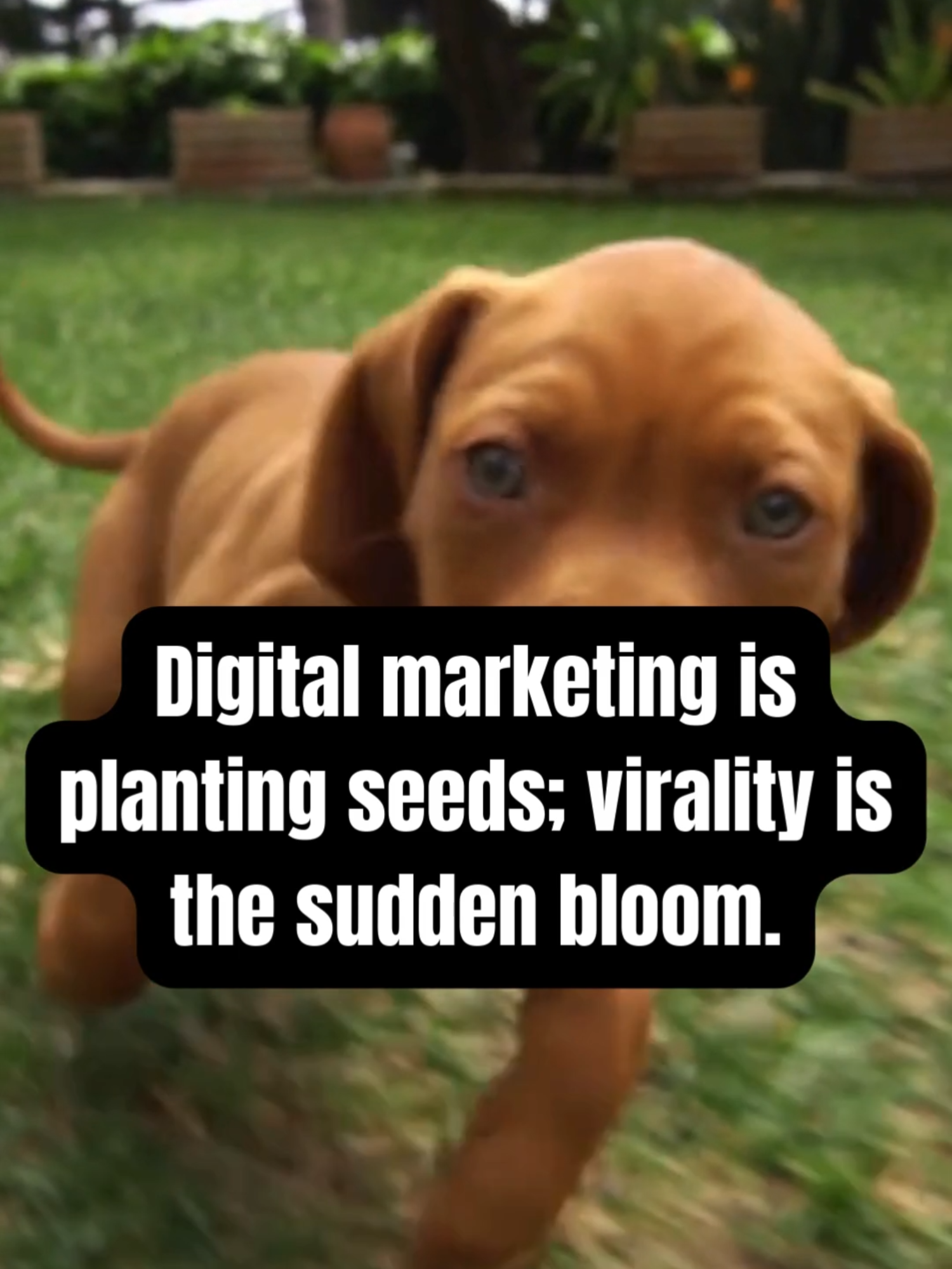 @Digital Marketing Pros ✨